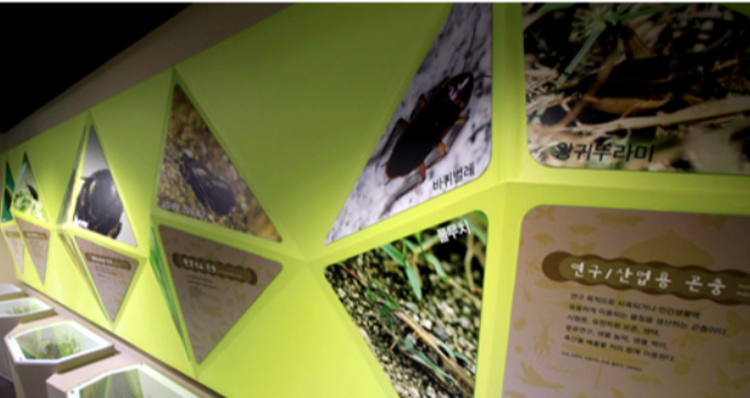 양평 곤충박물관