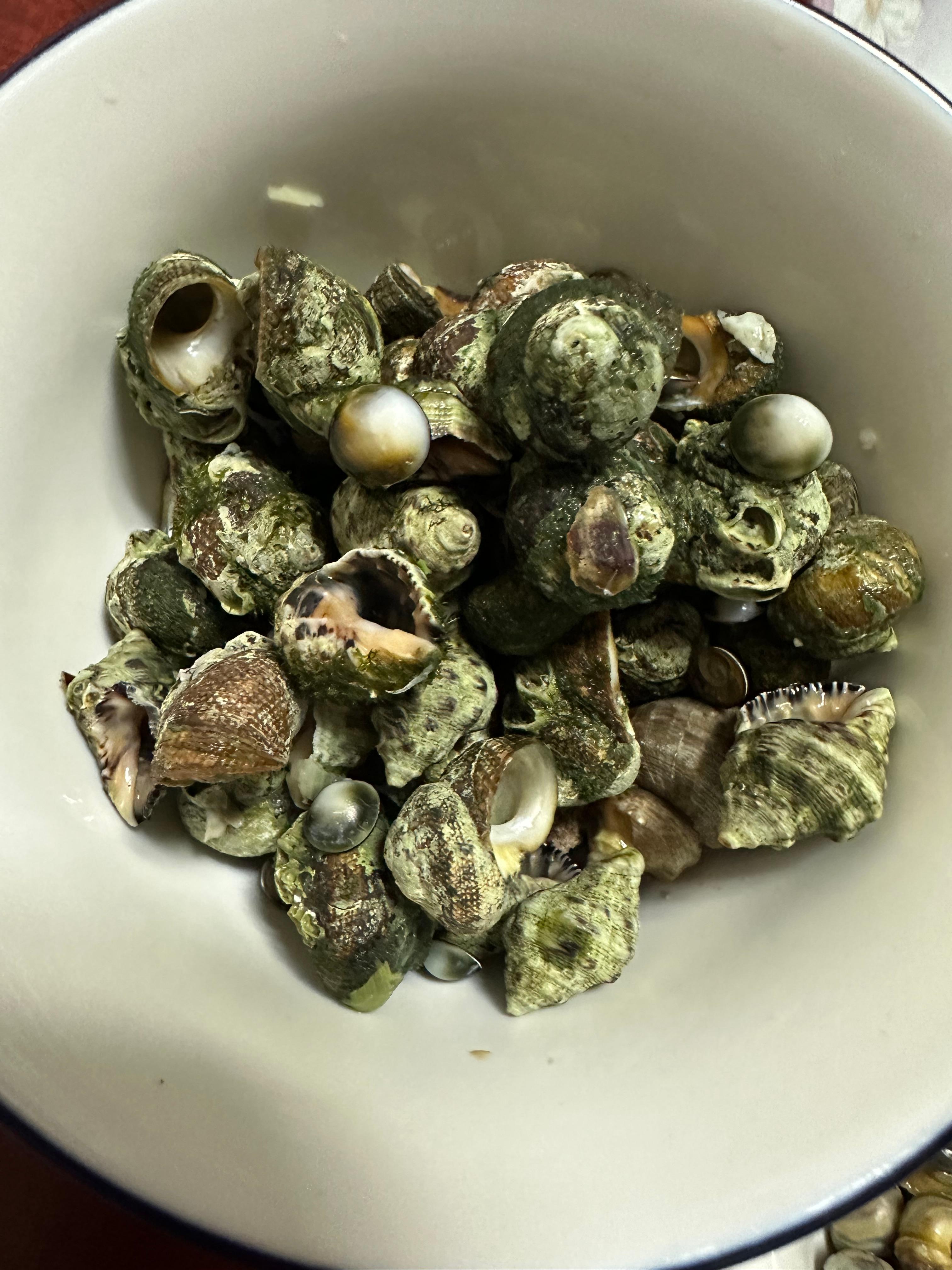 Super Simple Clam Soup Recipe(Healthy clam soup, fresh clams and horn snails, ultra-simple and light, full of rich ocean flavor, mudflat experience in Muchangpo, Boryeong, South Chungcheong, boiling horn snails and small clams, healthy homemade meal, easy soup recipe)