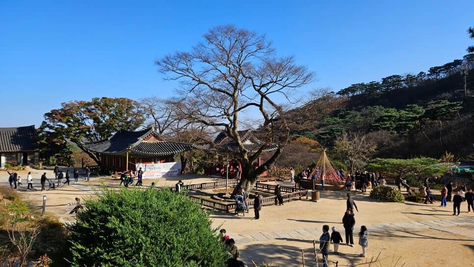 강화도 전등사 : 우리나라에서 가장 오래된 사찰 역사와 전설이 숨 쉬는 천년의 쉼터