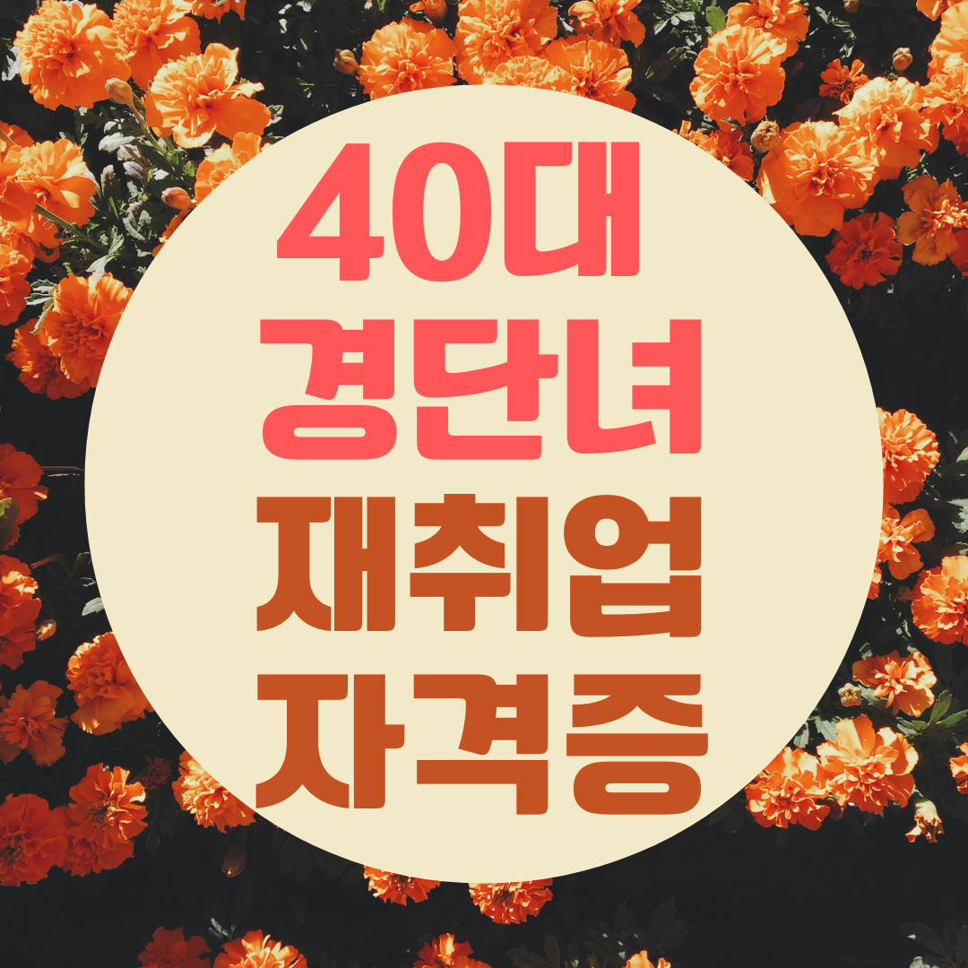 40대 경력단절 여성 재취업 자격증 추천 TOP