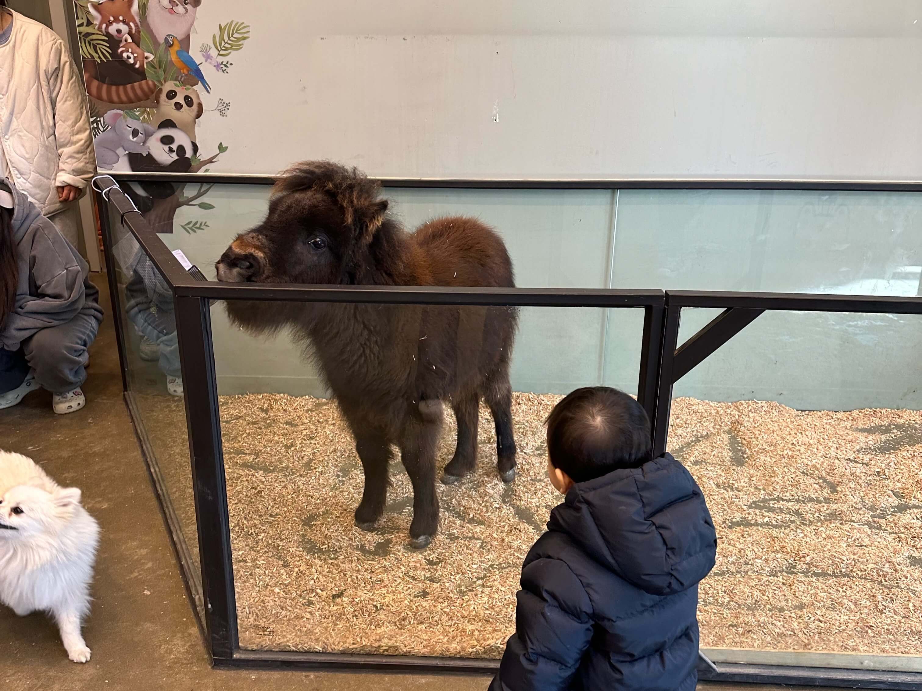 수원 아기랑 갈만한 곳 수원근교 아기랑 수원 아기랑 실내동물원