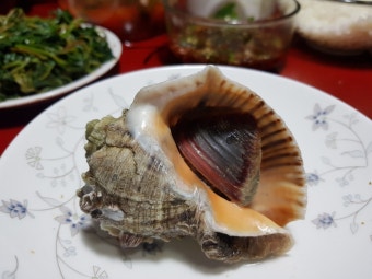 11월 제철 해산물 소라