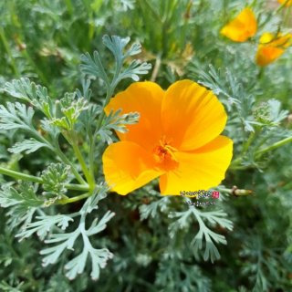 금영화 이미지 사진