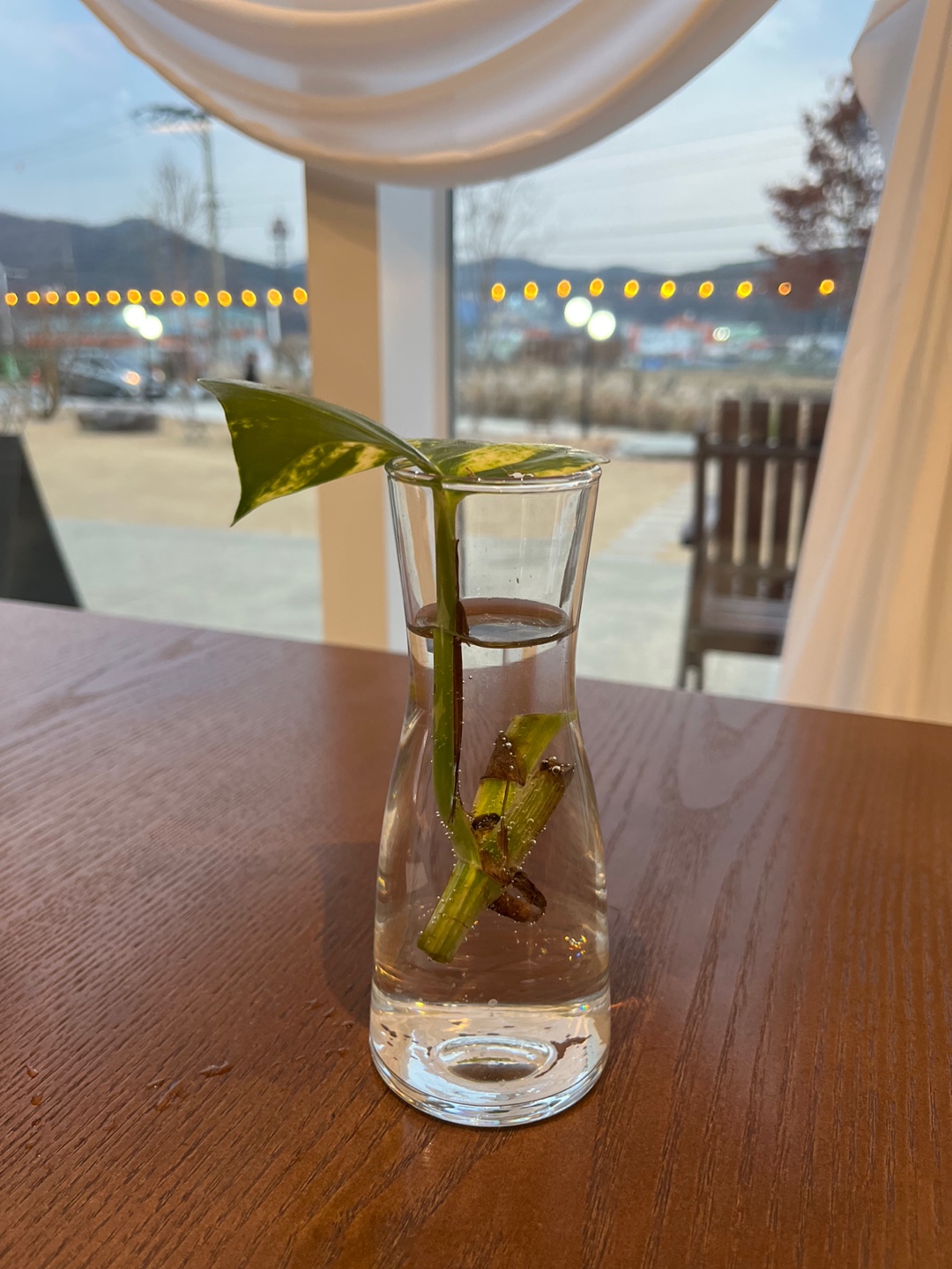 풀떼기 하나?