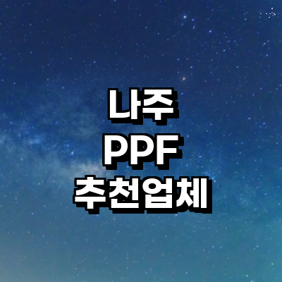 나주시 ppf