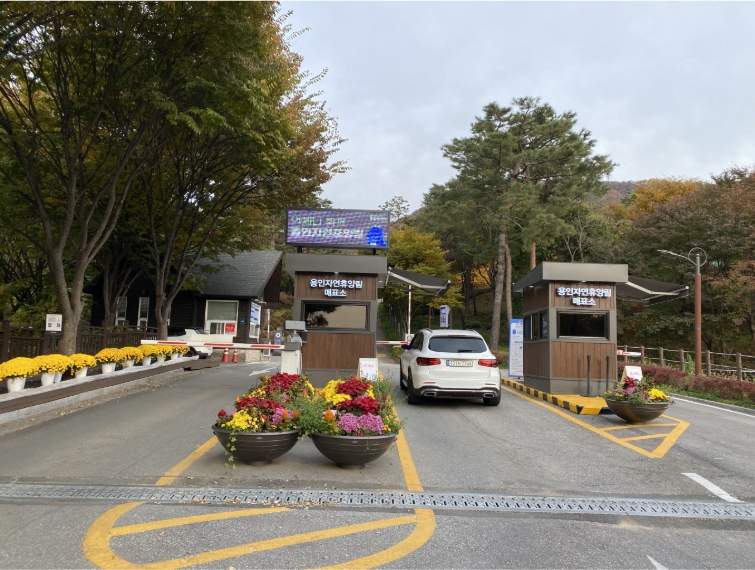 용인자연휴양림