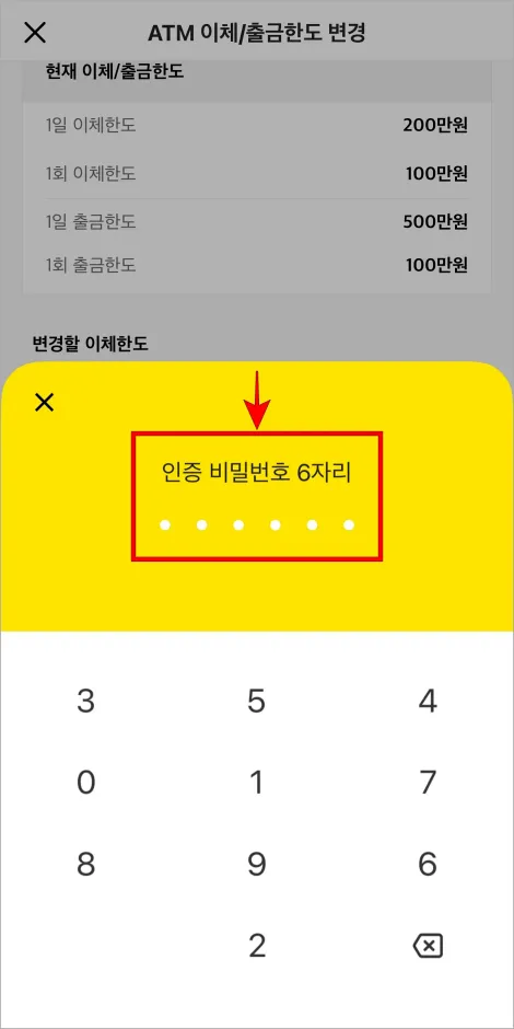 인증 비밀번호 6자리를 입력