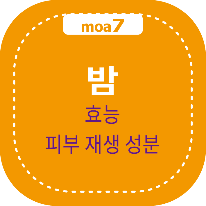 밤 효능과 피부 재생 성분