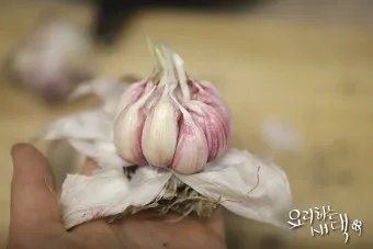 통마늘 지퍼백 보관 효과 오래 보관하는 방법_12