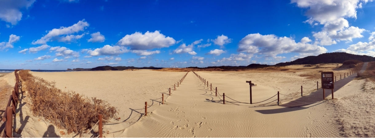 신두리-해안사구-전경