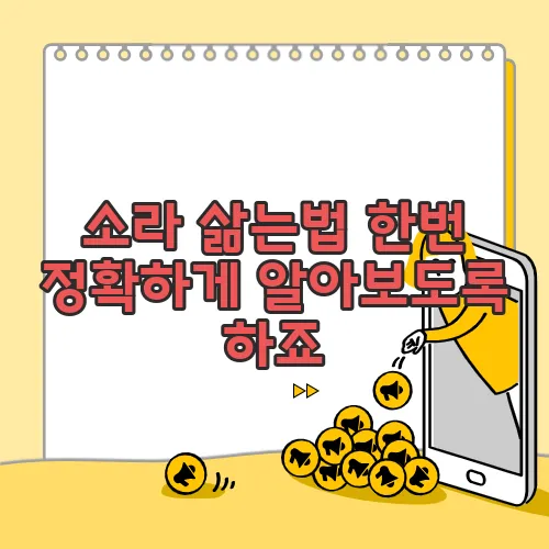 소라 삶는법 한번 정확하게 알아보도록 하죠