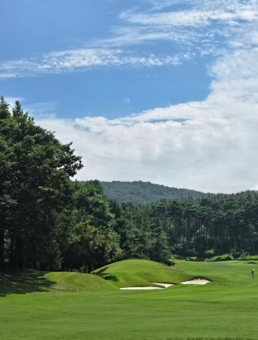 블루헤런CC 서코스 페어웨이전경