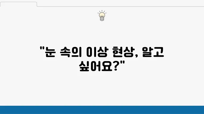 비문증 날파리증 원인 치료 냸 시원