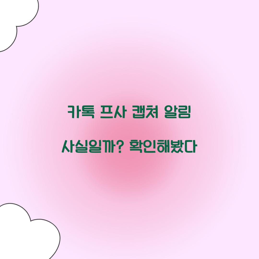 카톡 프사 캡쳐 알림