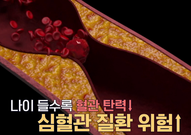 아르기닌의 효능