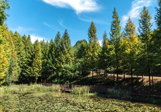 미동산수목원 3 