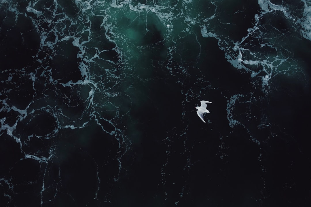 솔로