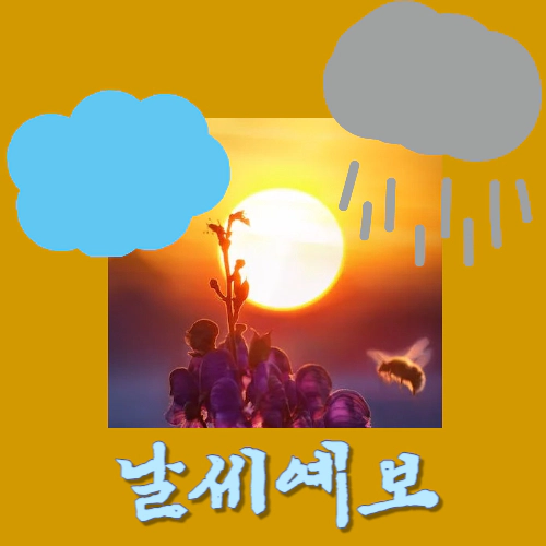 대전-세종-청주-홍성 날씨 예보