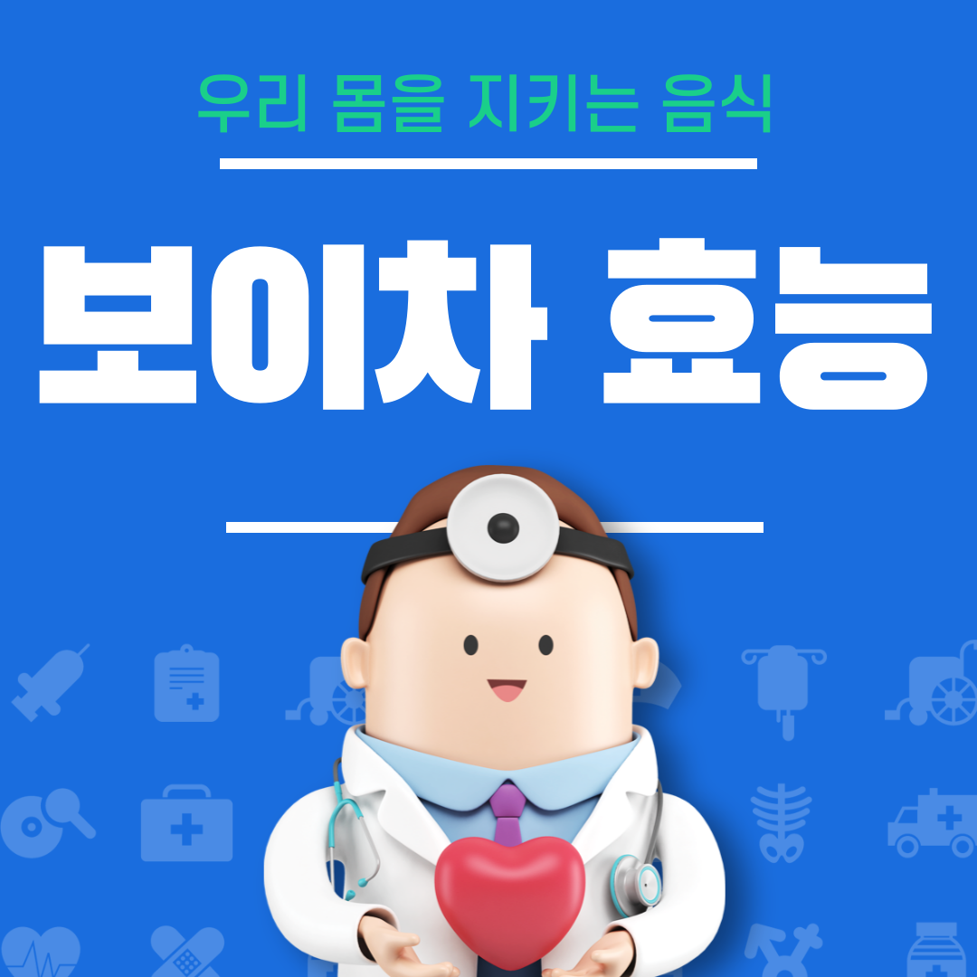 보이차 효능