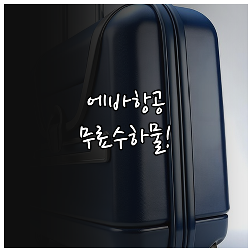 에바항공 이코노미 클래스 무료 위탁 ..