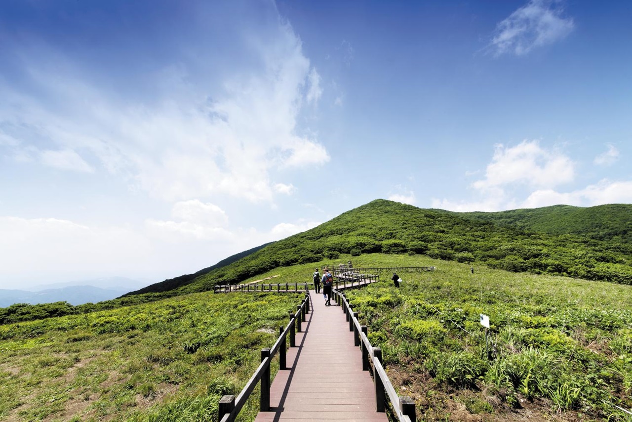 곰배령 예약하기