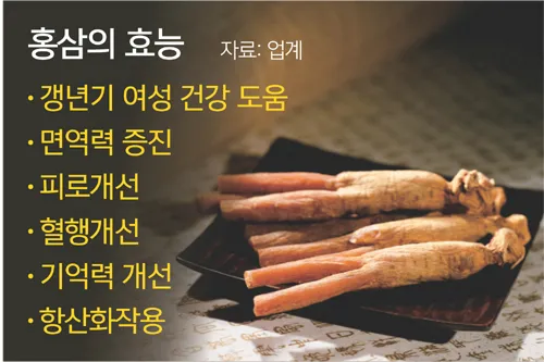 백혈구 수치 올리는 음식