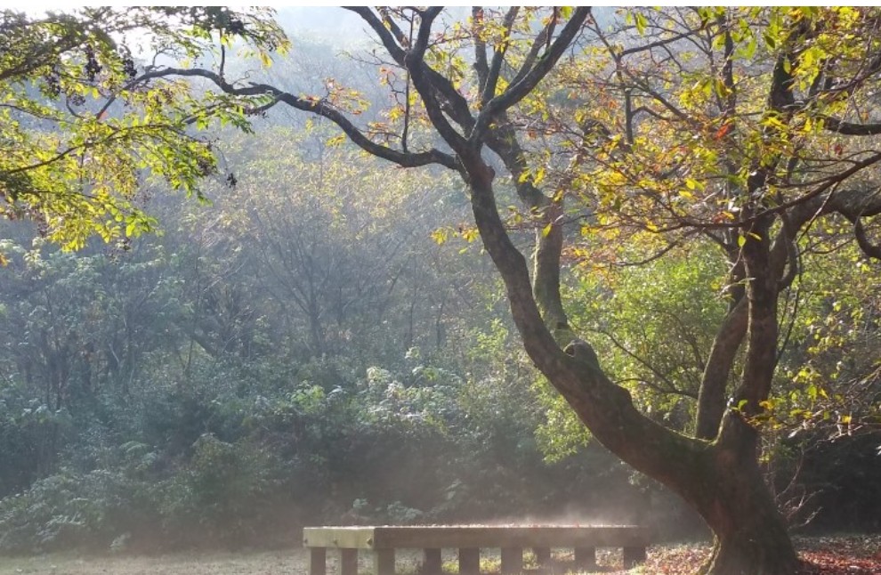 절물자연휴양림