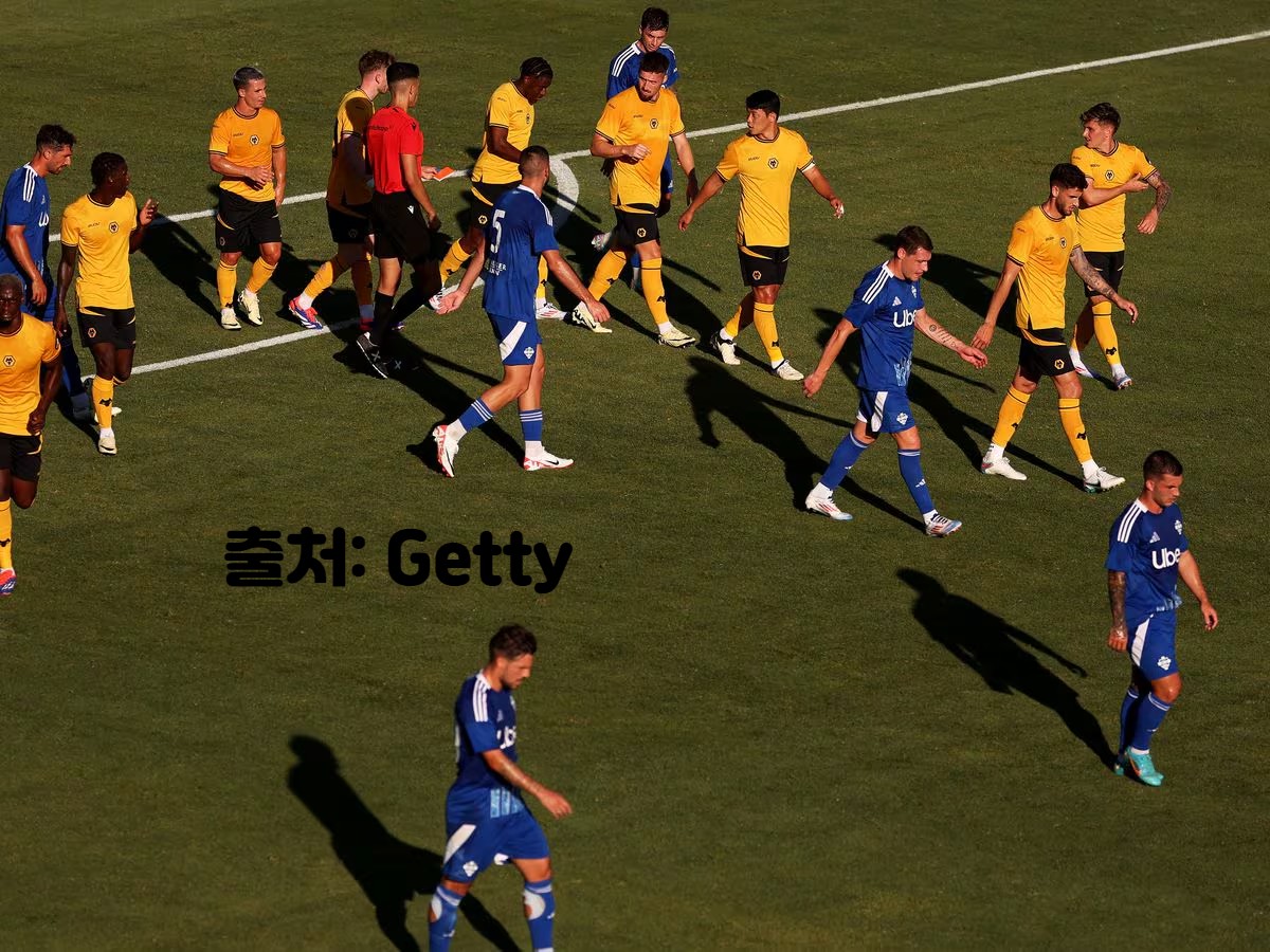 황희찬 선수 인종차별