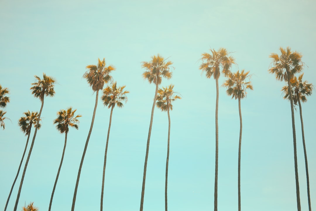Summer