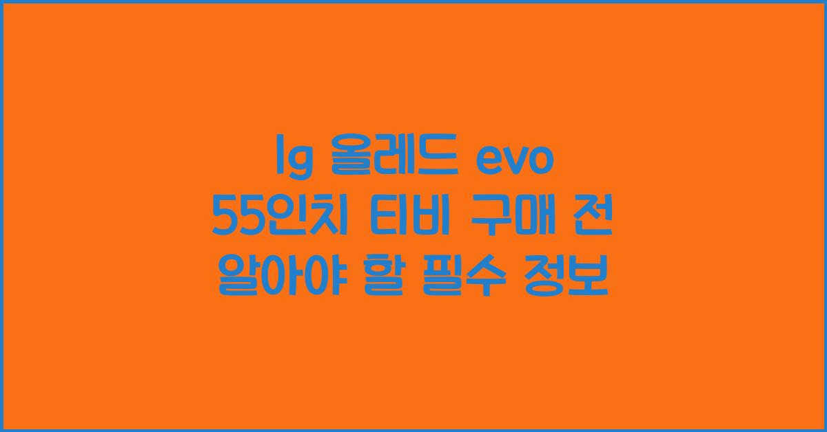 lg 올레드 evo 55인치 티비