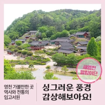 영천 가볼만한곳 맛집 카페 추천 여름 사진 명소_36