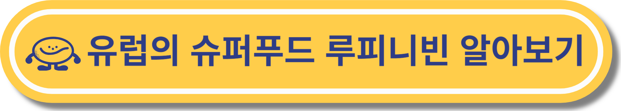 파바빈 효능&#44; 요리&#44; 먹는 법&#44; 삶기&#44; 부작용