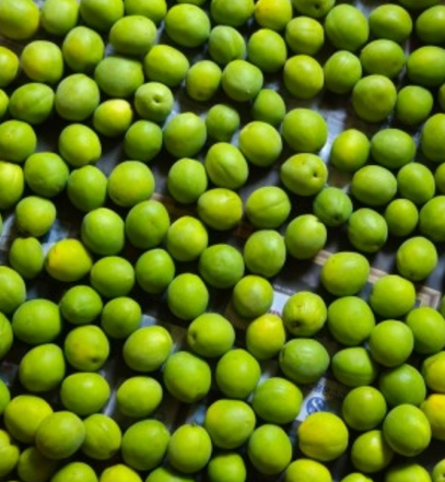 매실 소화 촉진, 피로 회복