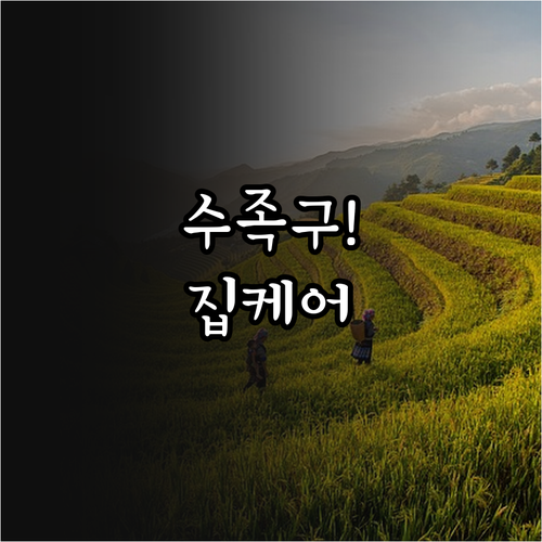 보은군 수족구 진료 병원과 집에서 할..