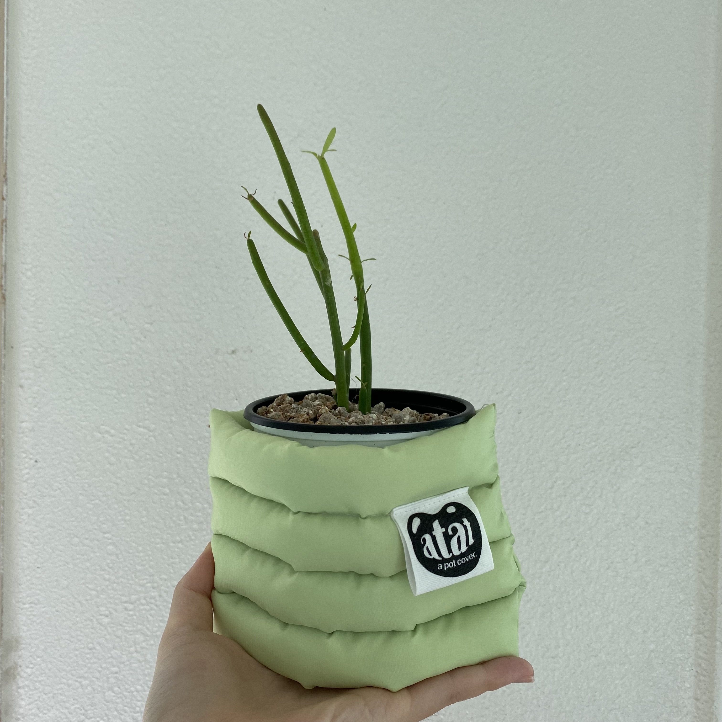 파티오라금