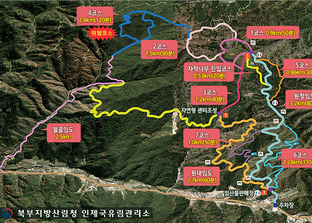자작나무숲 코스