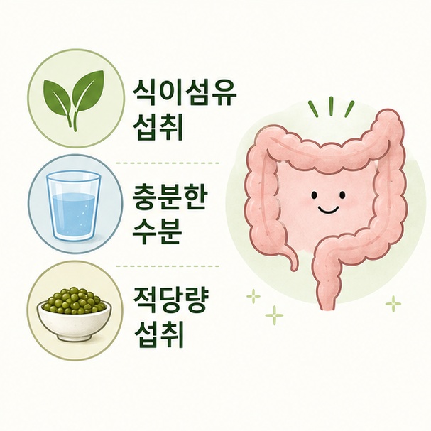 녹두의 식이섬유를 섭취할 때 물을 충분히 마시고 적당량부터 먹는 방법을 보여주는 그림