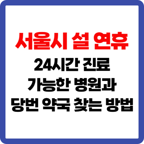 서울시 설 연휴 24시간 진료 가능한 병원과 당번 약국 찾는 방법