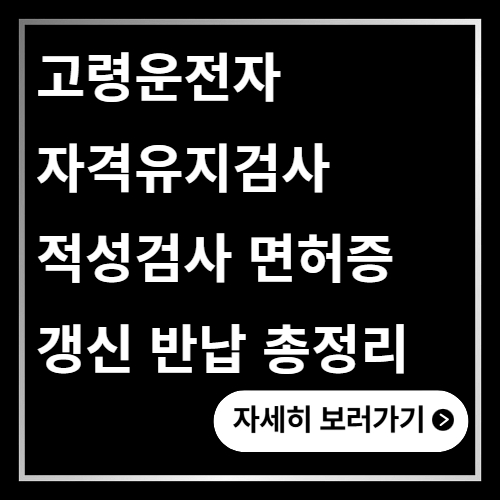 고령운전자 자격유지검사 적성검사 면허증 갱신 반납 총정리