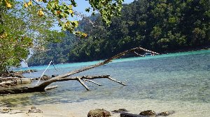 코타키나발루 사피 섬