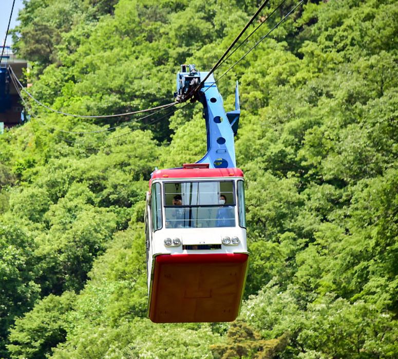 내장산-케이블카-모습