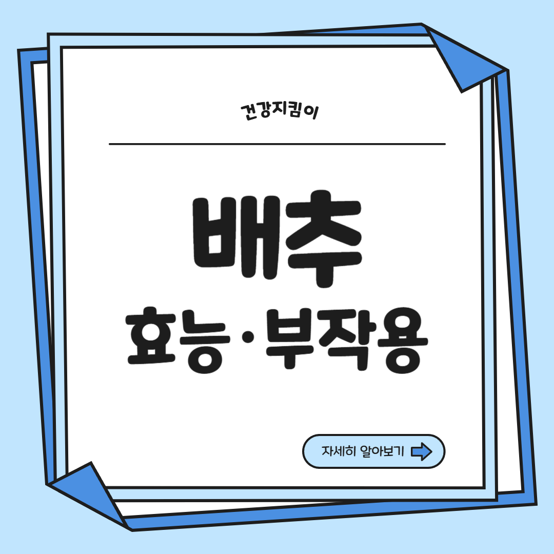배추 효능 부작용 칼로리