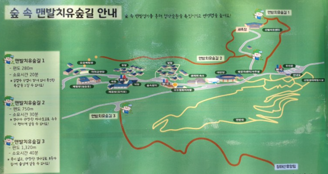 국립횡성숲체원 경로 안내