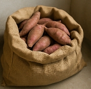 고구마 보관하는법