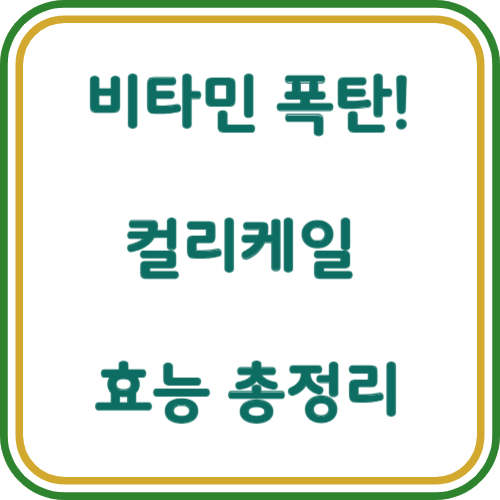 컬리케일 효능