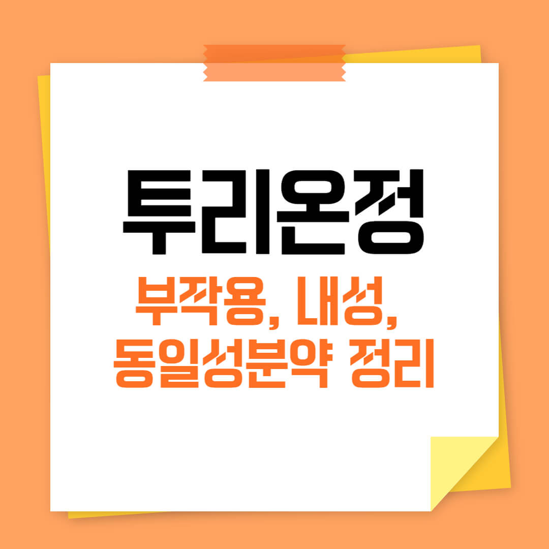 투리온정