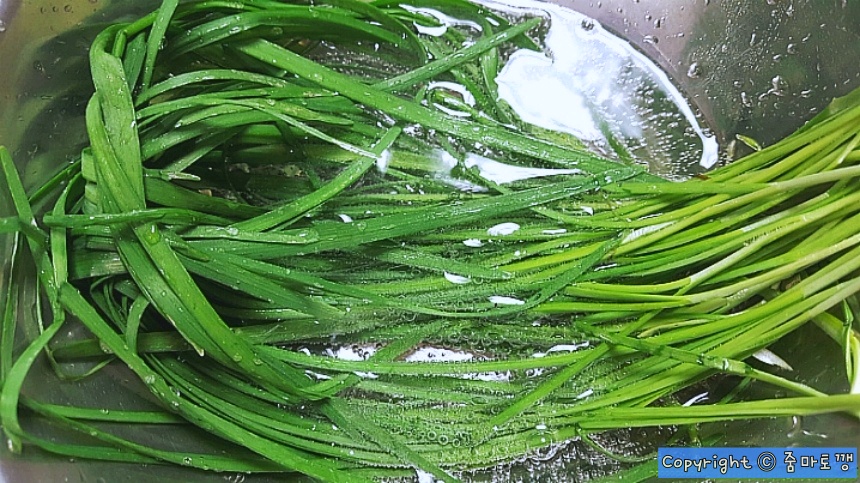 사이다에-담구기