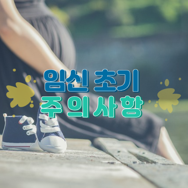 임신 초기 주의 사항