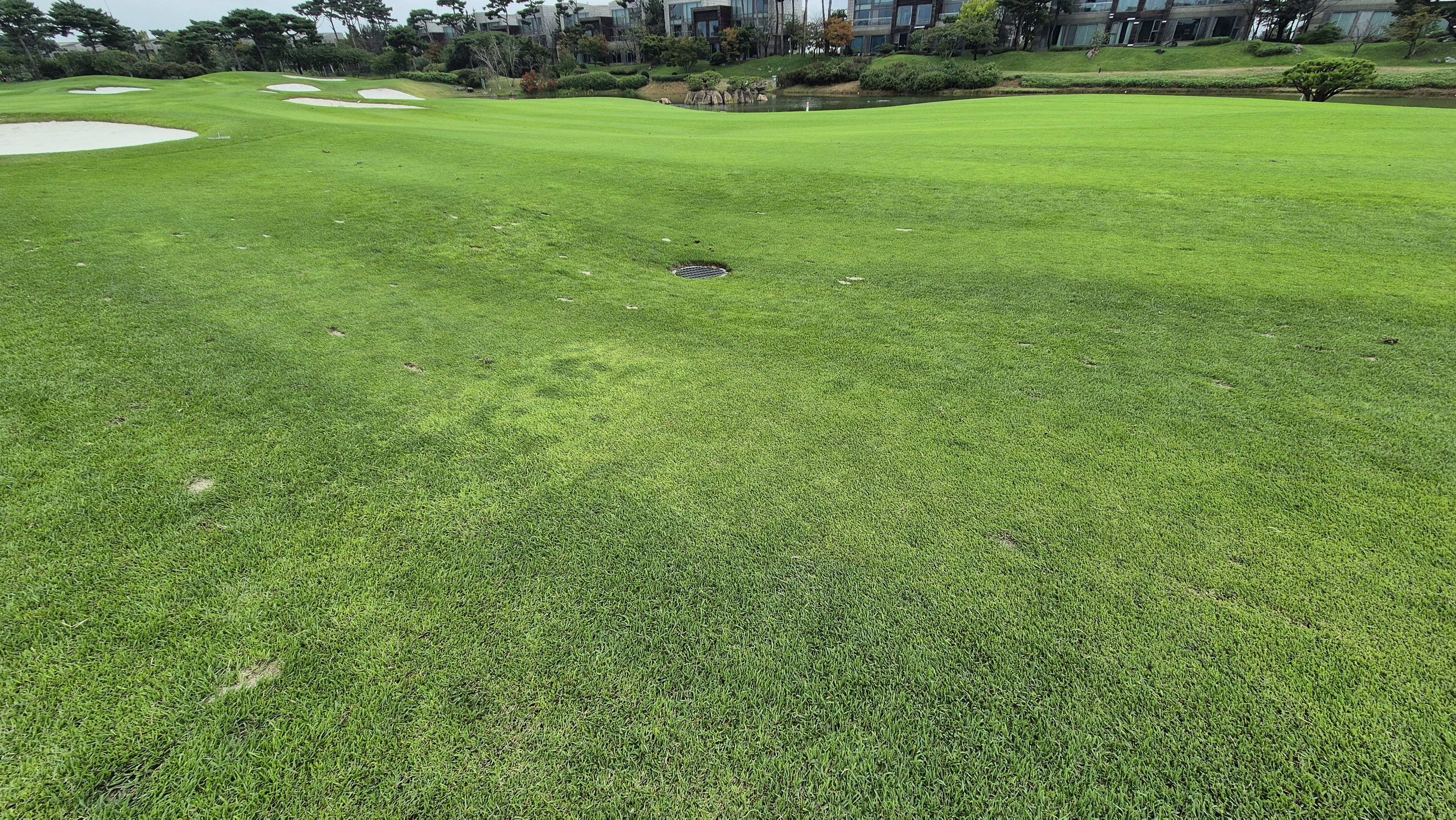 파인스톤cc 코스 난이도