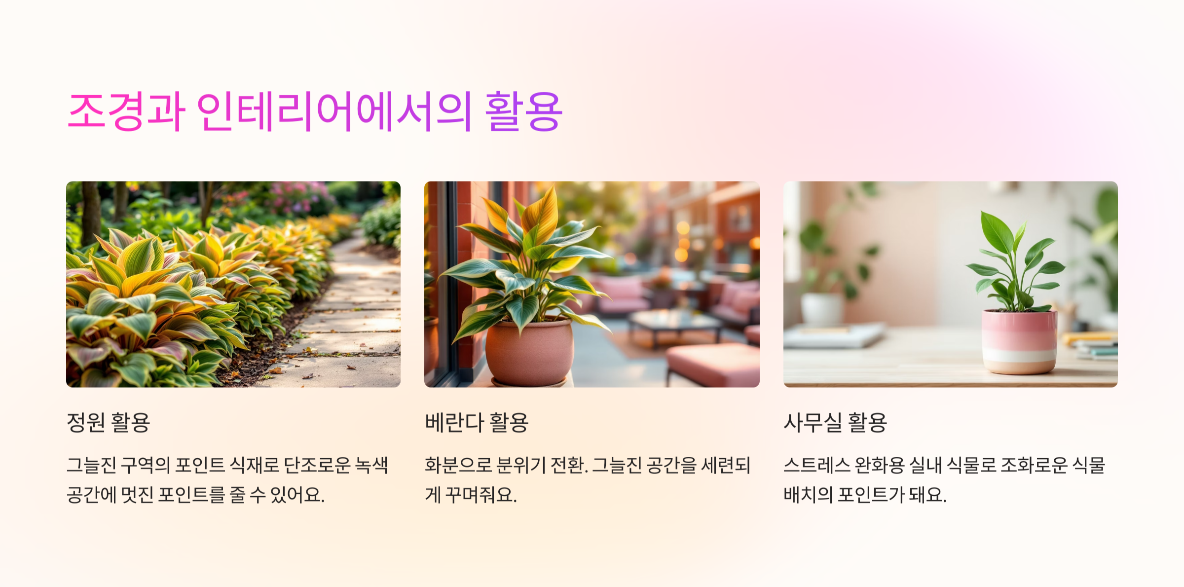 호스타